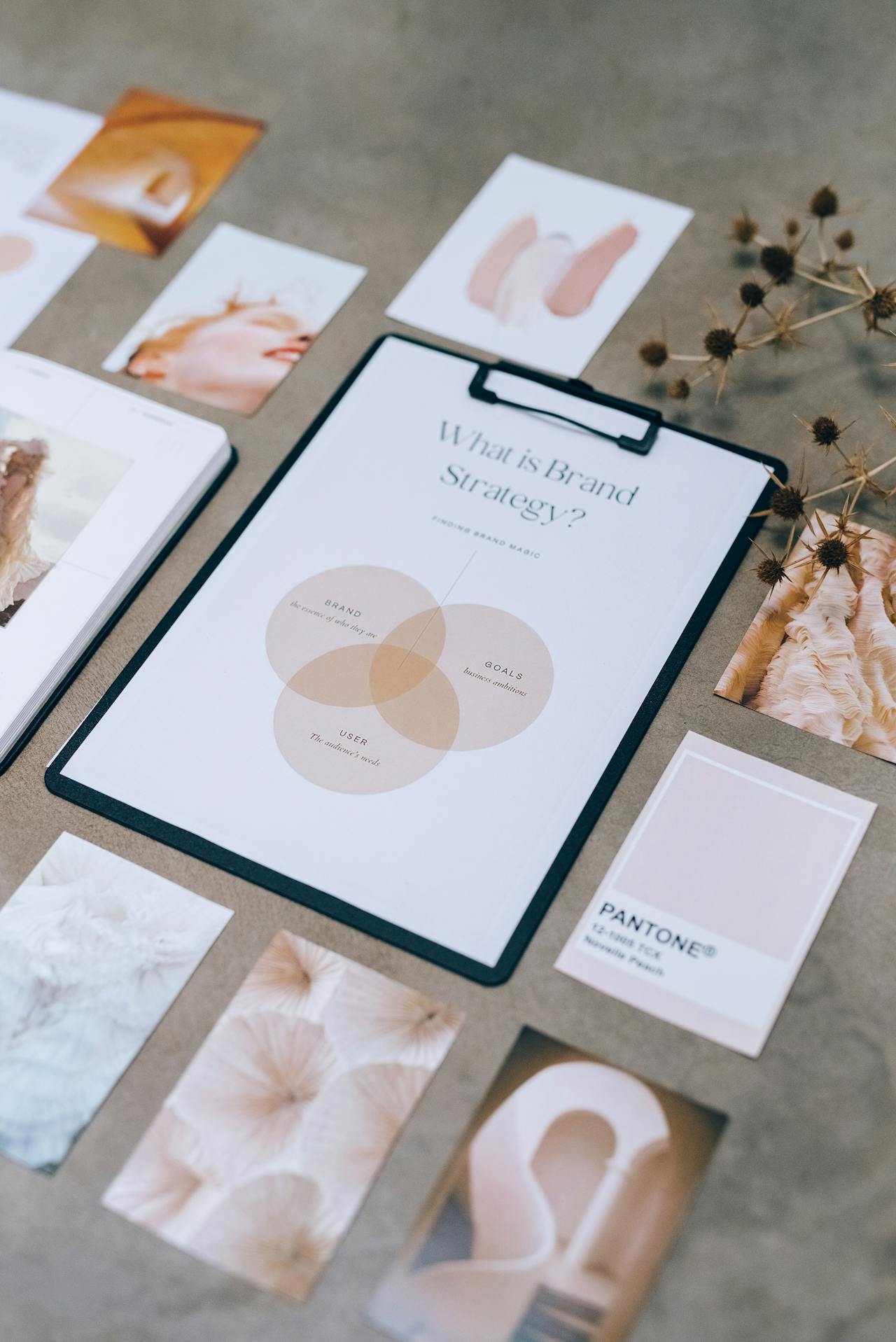 Brand Identity